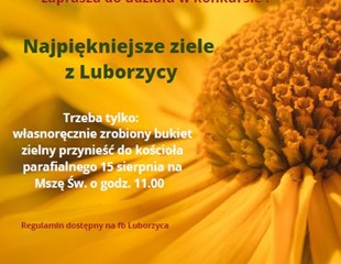 Konkurs "Najpiękniejsze ziele z Luborzycy"