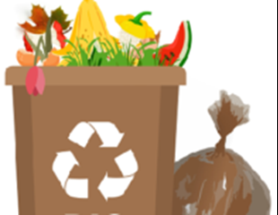 Wywóz odpadów biodegradowalnych